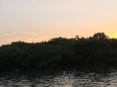 -北海金海湾红树林生态旅游区