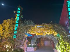 -杭州宋城