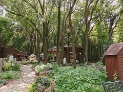 -同里国家湿地公园