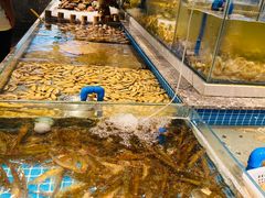 -一方渔歌蒸汽海鲜自助(文化路万达广场店)