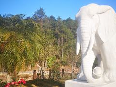 -韶关经律论国际酒店温泉