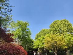 -杭州城北体育公园