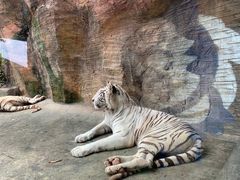 -杭州野生动物世界
