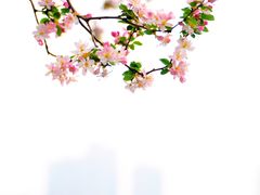 -莫愁湖公园