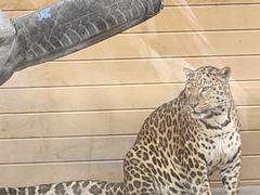 -鄂尔多斯野生动物园