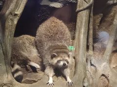 -哈尔滨波塞冬海底世界