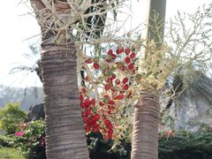 android_upload_pic-七珍佛山