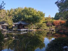 -汇龙潭