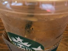 香草冷萃-星巴克(古象大酒店店)