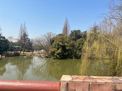 -上海滨江森林公园