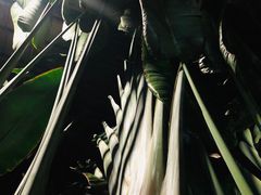 -龙达温泉生态城