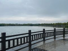 -上海都市菜园
