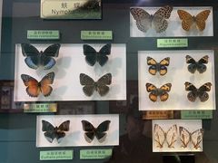 -上海昆虫博物馆