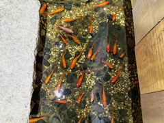 -邈墨茶馆(凤起路店)