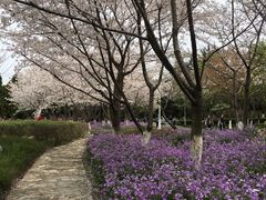-白塘生态植物园