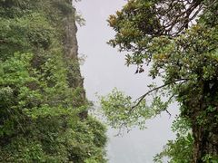 -峨眉山风景名胜区