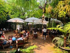 -Fern Forest Cafe