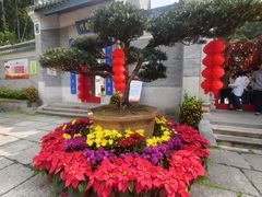 -国恩寺