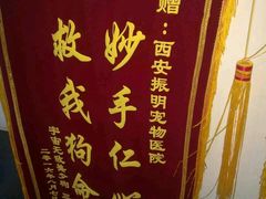 -诺威宠物医院(官邸分院)