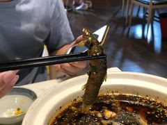 -情妹妹干锅锅(中海国际购物公园店)