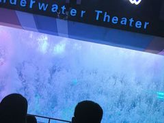 -泉城欧乐堡海洋极地世界