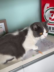 -ChuLian初莲日式美甲美睫