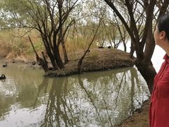 -长兴太湖图影湿地文化园