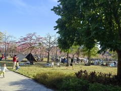 -风云岭森林公园