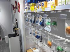 -爱洗澡的猫(望京店)