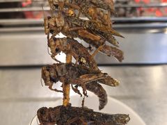 -小寒羊烧烤(凯瑞时代大厦店)