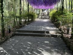 -上海体育场