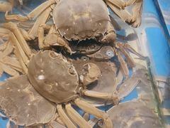 -加餐海鲜自助(宝龙一城店)