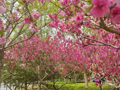 -北京清河万象汇