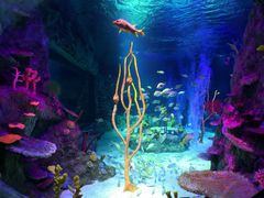 -沈阳海洋探索中心