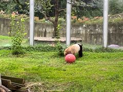 -西安秦岭野生动物园