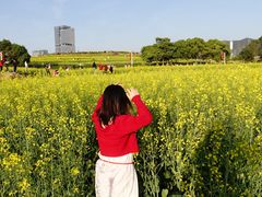 -光明小镇欢乐田园