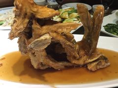 糖醋鲤鱼-崔义清鲁菜馆(大明湖店)