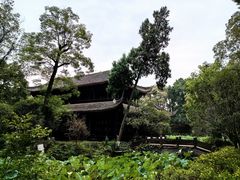-桂湖森林公园
