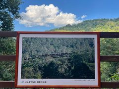 -野象谷景区