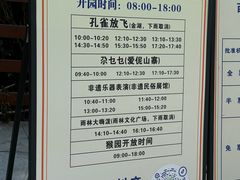-西双版纳原始森林公园