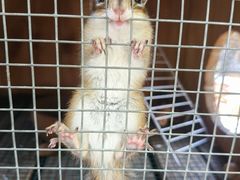 -HERRE·FARM 赫尔露营农场·团建聚会包场