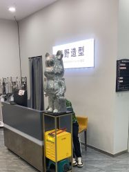 -藤野造型