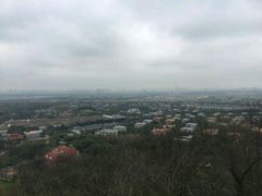 -上海佘山国家森林公园西佘山园