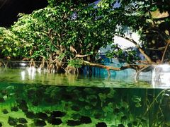 -福州罗源湾海洋世界旅游区