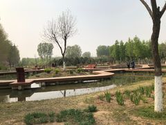 -东郊湿地公园
