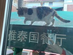 -芭堤雅泰国餐厅(胜利路店)