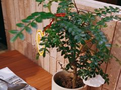 -CURRY YA 熟成咖哩專門店(深圳湾万象城店)