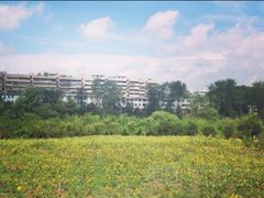 -贵阳市花溪国家城市湿地公园