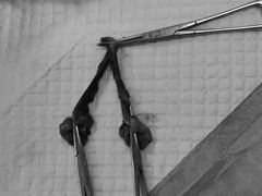 -安安宠物医院(情缘分院)