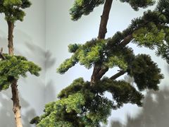 -西江红·株洲本地菜(滨江南路店)